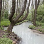 02.05.2018 Kielce. Zanieczyszczona rzeka Silnica przed zalewem / Jarosław Kubalski / Radio Kielce