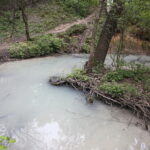 02.05.2018 Kielce. Zanieczyszczona rzeka Silnica przed zalewem / Jarosław Kubalski / Radio Kielce