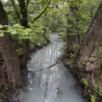 02.05.2018 Kielce. Zanieczyszczona rzeka Silnica przed zalewem / Jarosław Kubalski / Radio Kielce