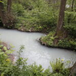 02.05.2018 Kielce. Zanieczyszczona rzeka Silnica przed zalewem / Jarosław Kubalski / Radio Kielce