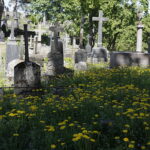 12.05.2018 Litwa. Wilno. Cmentarz na Rossie / Jarosław Kubalski / Radio Kielce