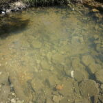 07.05.2018 Kielce. Rzeczka Silnica przy ulicy Karczunek / Mateusz Kaczmarczyk / Radio Kielce