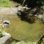 07.05.2018 Kielce. Rzeczka Silnica przy ulicy Karczunek / Mateusz Kaczmarczyk / Radio Kielce