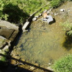 07.05.2018 Kielce. Rzeczka Silnica przy ulicy Karczunek / Mateusz Kaczmarczyk / Radio Kielce