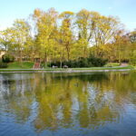 Park miejski im. Stanisława Staszica / Marzena Mąkosa / Radio Kielce