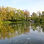 Park miejski im. Stanisława Staszica / Marzena Mąkosa / Radio Kielce