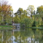 Park miejski im. Stanisława Staszica / Marzena Mąkosa / Radio Kielce