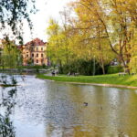 Park miejski im. Stanisława Staszica / Marzena Mąkosa / Radio Kielce