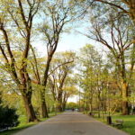 Park miejski im. Stanisława Staszica / Marzena Mąkosa / Radio Kielce