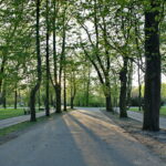 Park miejski im. Stanisława Staszica / Marzena Mąkosa / Radio Kielce