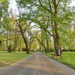 Park miejski im. Stanisława Staszica / Marzena Mąkosa / Radio Kielce