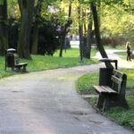 Park miejski im. Stanisława Staszica / Marzena Mąkosa / Radio Kielce