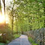 Park miejski im. Stanisława Staszica / Marzena Mąkosa / Radio Kielce