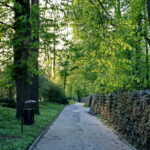 Park miejski im. Stanisława Staszica / Marzena Mąkosa / Radio Kielce