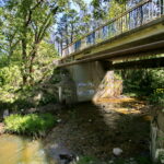 Zanieczyszczona rzeka Silnica przy ulicy Karczunek / Marzena Mąkosa / Radio Kielce