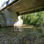 Zanieczyszczona rzeka Silnica przy ulicy Karczunek / Marzena Mąkosa / Radio Kielce