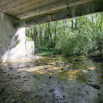 Zanieczyszczona rzeka Silnica przy ulicy Karczunek / Marzena Mąkosa / Radio Kielce