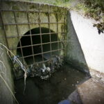 Zanieczyszczona rzeka Silnica przy ulicy Karczunek / Marzena Mąkosa / Radio Kielce