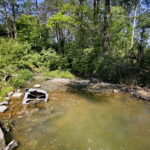 Zanieczyszczona rzeka Silnica przy ulicy Karczunek / Marzena Mąkosa / Radio Kielce