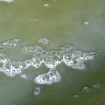 Zanieczyszczona rzeka Silnica przy ulicy Karczunek / Marzena Mąkosa / Radio Kielce