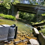 Zanieczyszczona rzeka Silnica przy ulicy Karczunek / Marzena Mąkosa / Radio Kielce