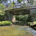 Zanieczyszczona rzeka Silnica przy ulicy Karczunek / Marzena Mąkosa / Radio Kielce