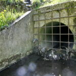 Zanieczyszczona rzeka Silnica przy ulicy Karczunek / Marzena Mąkosa / Radio Kielce