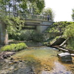 Zanieczyszczona rzeka Silnica przy ulicy Karczunek / Marzena Mąkosa / Radio Kielce