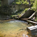 Zanieczyszczona rzeka Silnica przy ulicy Karczunek / Marzena Mąkosa / Radio Kielce