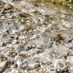 Zanieczyszczona rzeka Silnica przy ulicy Karczunek / Marzena Mąkosa / Radio Kielce