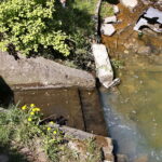 Zanieczyszczona rzeka Silnica przy ulicy Karczunek / Marzena Mąkosa / Radio Kielce