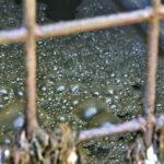 Zanieczyszczona rzeka Silnica przy ulicy Karczunek / Marzena Mąkosa / Radio Kielce