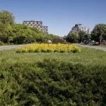 Wiosenne porządki w Kielcach / Marzena Mąkosa / Radio Kielce