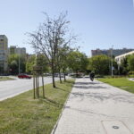 Wiosenne porządki w Kielcach / Marzena Mąkosa / Radio Kielce