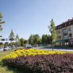 Wiosenne porządki w Kielcach / Marzena Mąkosa / Radio Kielce