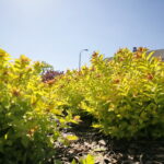 Wiosenne porządki w Kielcach / Marzena Mąkosa / Radio Kielce