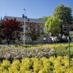 Wiosenne porządki w Kielcach / Marzena Mąkosa / Radio Kielce