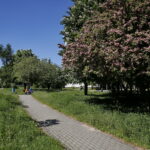 Wiosenne porządki w Kielcach / Marzena Mąkosa / Radio Kielce