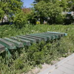 Wiosenne porządki w Kielcach / Marzena Mąkosa / Radio Kielce