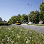 Wiosenne porządki w Kielcach / Marzena Mąkosa / Radio Kielce