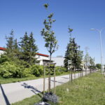 Wiosenne porządki w Kielcach / Marzena Mąkosa / Radio Kielce