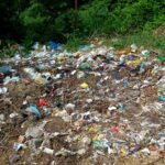 Dzikie wysypiska śmieci przy ogródkach działkowych / Marzena Mąkosa / Radio Kielce