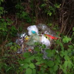 Dzikie wysypiska śmieci przy ogródkach działkowych / Marzena Mąkosa / Radio Kielce