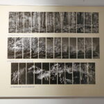 BWA - wernisaż wystawy "Globalizacja i indywidualność" Okręgu Dolnośląskiego Związku Polskich Artystów Fotografików / Marzena Mąkosa / Radio Kielce