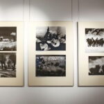 BWA - wernisaż wystawy "Globalizacja i indywidualność" Okręgu Dolnośląskiego Związku Polskich Artystów Fotografików / Marzena Mąkosa / Radio Kielce