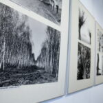 BWA - wernisaż wystawy "Globalizacja i indywidualność" Okręgu Dolnośląskiego Związku Polskich Artystów Fotografików / Marzena Mąkosa / Radio Kielce