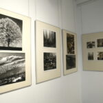 BWA - wernisaż wystawy "Globalizacja i indywidualność" Okręgu Dolnośląskiego Związku Polskich Artystów Fotografików / Marzena Mąkosa / Radio Kielce