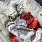 Konferencja naukowa "Nauka a wymiar sprawiedliwości" w Europejskim Centrum Edukacji Geologicznej w Korzecku / Marzena Mąkosa / Radio Kielce