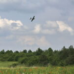 Oficjalne otwarcie lotniska dla modeli samolotów / Marzena Mąkosa / Radio Kielce