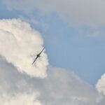 Oficjalne otwarcie lotniska dla modeli samolotów / Marzena Mąkosa / Radio Kielce